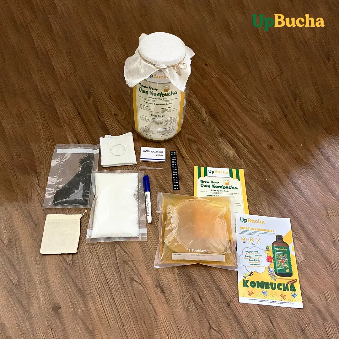 Kombucha Brewing Kit