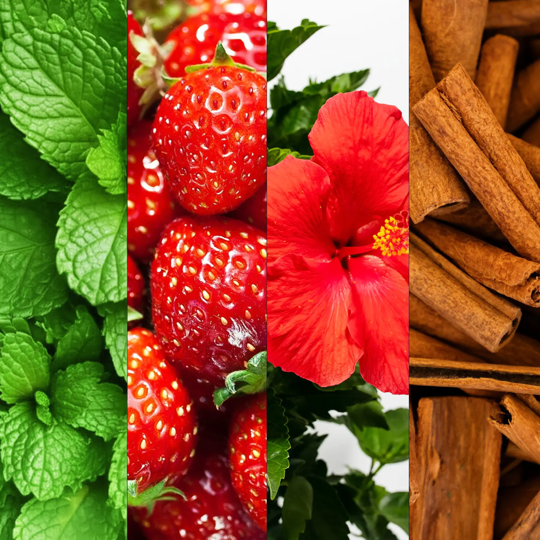 UpBucha – Raw to Flavours (Before)